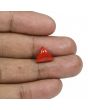 Red Coral (Moonga) - 5.25 Carat 