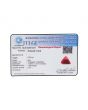 Red Coral (Moonga) - 5.25 Carat 