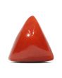 Red Coral (Moonga) - 5.1 Carat 