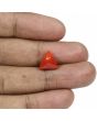 Red Coral (Moonga) - 5.1 Carat 