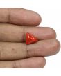 Red Coral (Moonga) - 5.1 Carat 