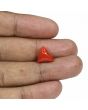 Red Coral (Moonga) - 5.21 Carat 