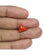 Red Coral (Moonga) - 5.21 Carat 