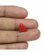 Red Coral (Moonga) - 4.89 Carat 