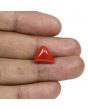 Red Coral (Moonga) - 8.01 Carat 