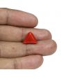 Red Coral (Moonga) - 8.01 Carat 