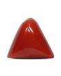 Red Coral (Moonga) - 8.37 Carat 