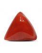 Red Coral (Moonga) - 9.11 Carat 