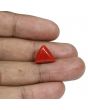 Red Coral (Moonga) - 9.11 Carat 
