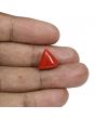 Red Coral (Moonga) - 9.11 Carat 