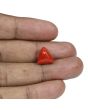 Red Coral (Moonga) - 8.43 Carat 