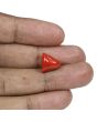 Red Coral (Moonga) - 8.43 Carat 