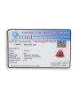 Red Coral (Moonga) - 8.43 Carat 