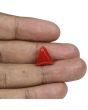 Red Coral (Moonga) - 8.21 Carat 