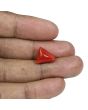 Red Coral (Moonga) - 8.21 Carat 