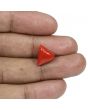 Red Coral (Moonga) - 7.67 Carat 