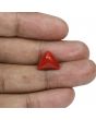 Red Coral (Moonga) - 7.68 Carat 