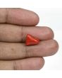 Red Coral (Moonga) - 8.11 Carat 