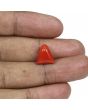 Red Coral (Moonga) - 6.99 Carat 