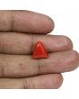 Red Coral (Moonga) - 6.99 Carat 