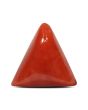 Red Coral (Moonga) - 6.62 Carat 