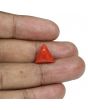Red Coral (Moonga) - 6.62 Carat 