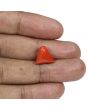 Red Coral (Moonga) - 8.03 Carat 