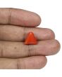 Red Coral (Moonga) - 8.03 Carat 
