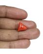 Red Coral (Moonga) - 8.03 Carat 