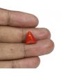 Red Coral (Moonga) - 7.21 Carat 