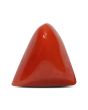 Red Coral (Moonga) - 6.47 Carat 