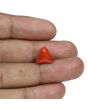 Red Coral (Moonga) - 6.47 Carat 