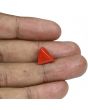 Red Coral (Moonga) - 6.47 Carat 