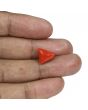 Red Coral (Moonga) - 6.47 Carat 