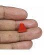 Red Coral (Moonga) - 7.26 Carat 