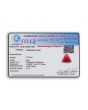 Red Coral (Moonga) - 7.26 Carat 