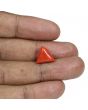 Red Coral (Moonga) - 6.81 Carat