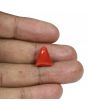 Red Coral (Moonga) - 8.44 Carat 