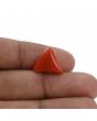 Red Coral (Moonga) - 7.2 Carat 