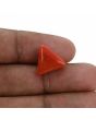 Red Coral (Moonga) - 7.2 Carat 