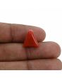 Red Coral (Moonga) - 6.7 Carat 
