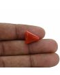 Red Coral (Moonga) - 6.7 Carat 