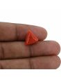 Red Coral (Moonga) - 6.36 Carat 