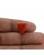Red Coral (Moonga) - 6.5 Carat 