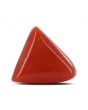 Red Coral (Moonga) - 6.32 Carat 