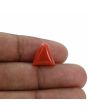 Red Coral (Moonga) - 6.32 Carat 