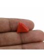Red Coral (Moonga) - 6.32 Carat 