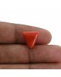 Red Coral (Moonga) - 6.32 Carat 