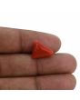 Red Coral (Moonga) - 6.5 Carat 