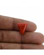 Red Coral (Moonga) - 6.5 Carat 